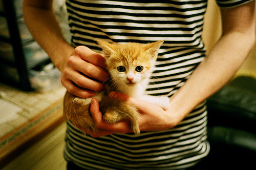 F1新赛季揭幕战之夜，爱德华兹惊艳四座，重塑赛车新纪元