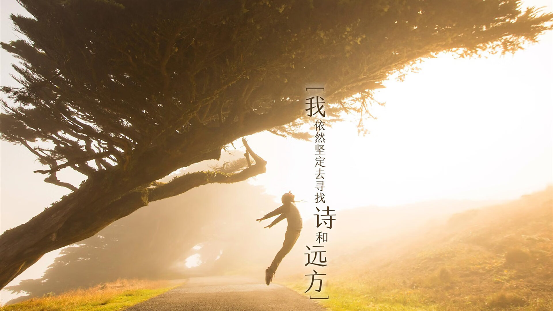 塔图姆刷新纪录闪耀全场,骑士终结尼克斯连胜