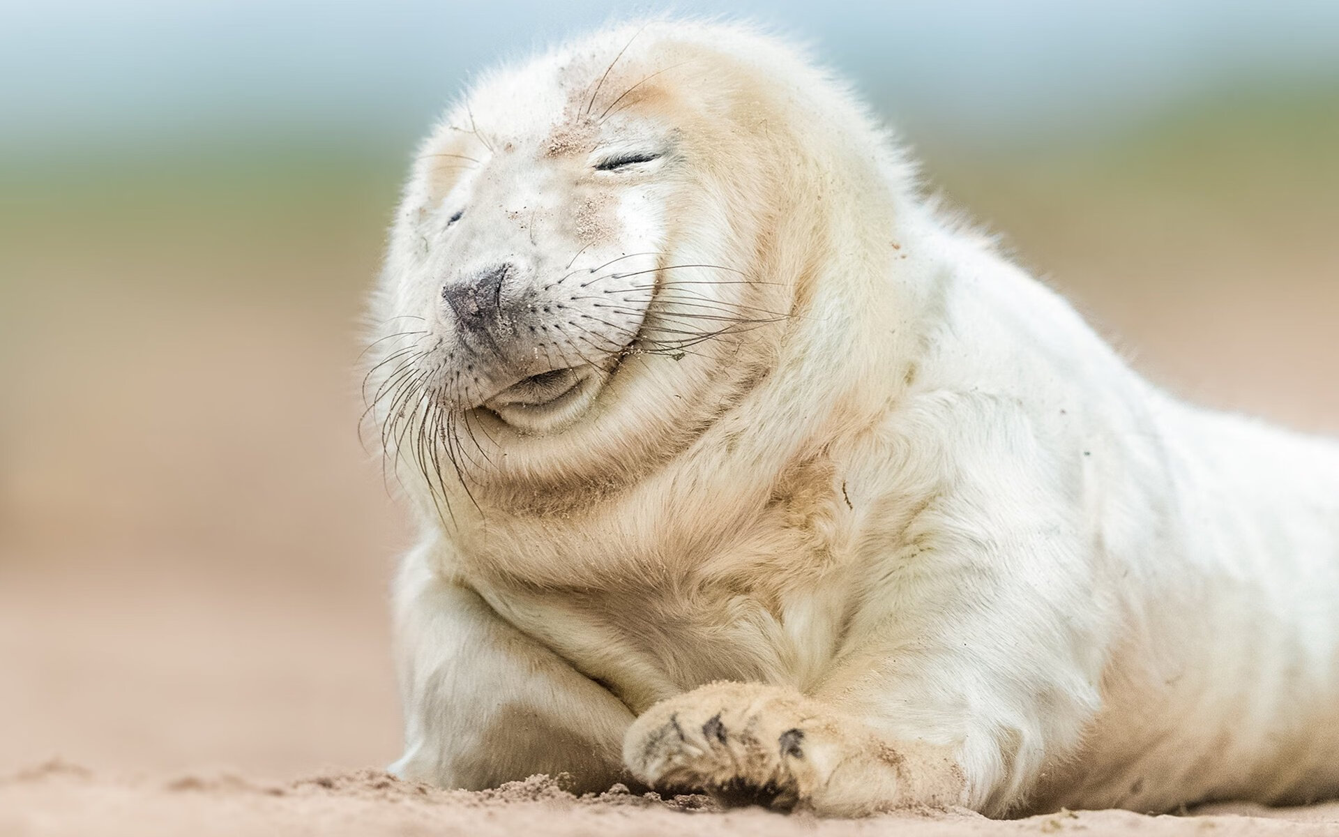 维尼修斯单节主宰战局，西班牙国家德比再现经典逆转