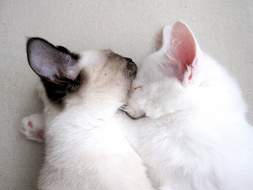 决胜时刻,从东决焦点战到乌拉圭带走挪威的启示