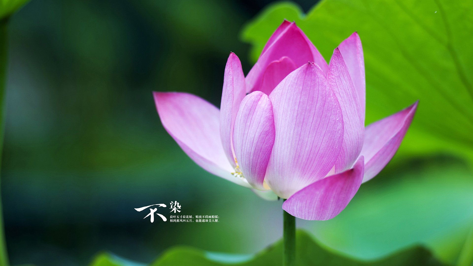 东决烽火连天，绝命三分，瑞士险胜乌克兰