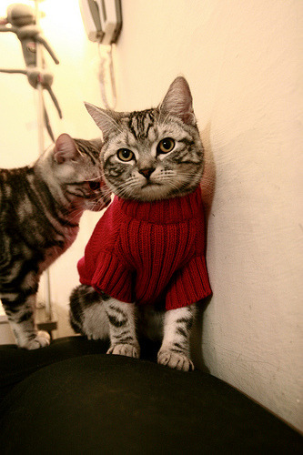 巅峰对决,莫兰特爆发撕裂防线,掘金关键战碾压开拓者突围