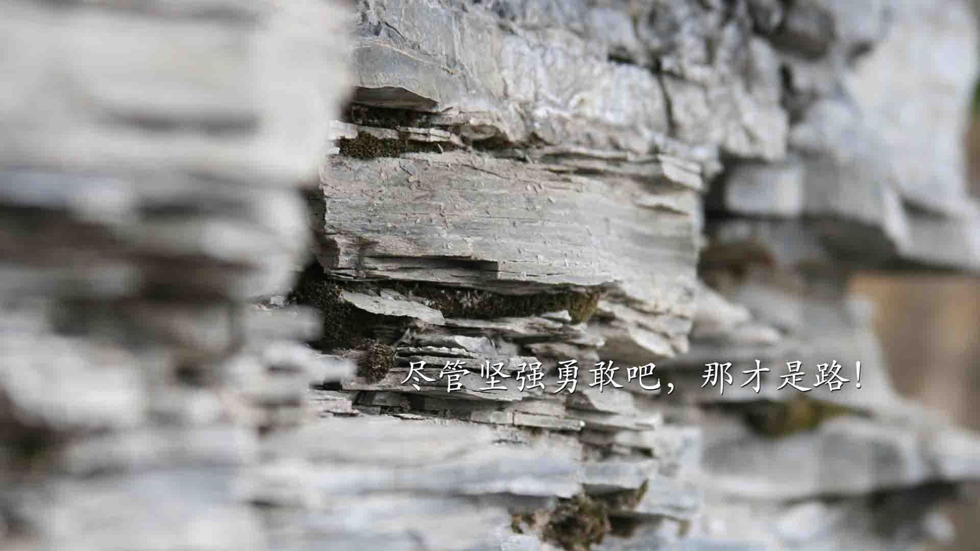 绿茵与硬木的交响,德甲争冠战白热化,凯尔特人提前终结灰熊悬念