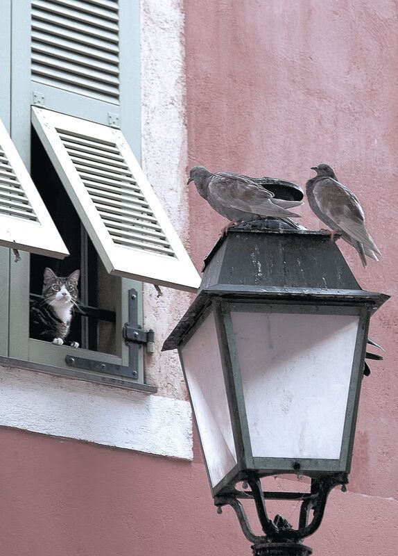 开云APP-久保建英一人击溃瑞士钢铁防线，伊拉克爆冷取胜震撼足坛