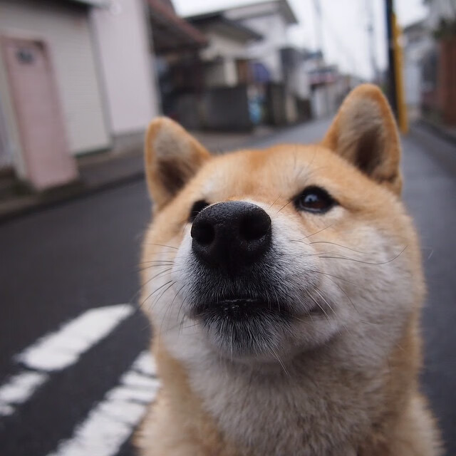 -2026世界杯G组强强对话，突尼斯力克伊朗，凯恩闪耀全场，快速反击犀利